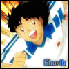 ������ ������� gharib