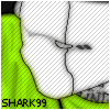   shark99