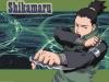   shikamaru13