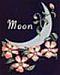   moo00oon