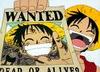   Uzumaki Luffy